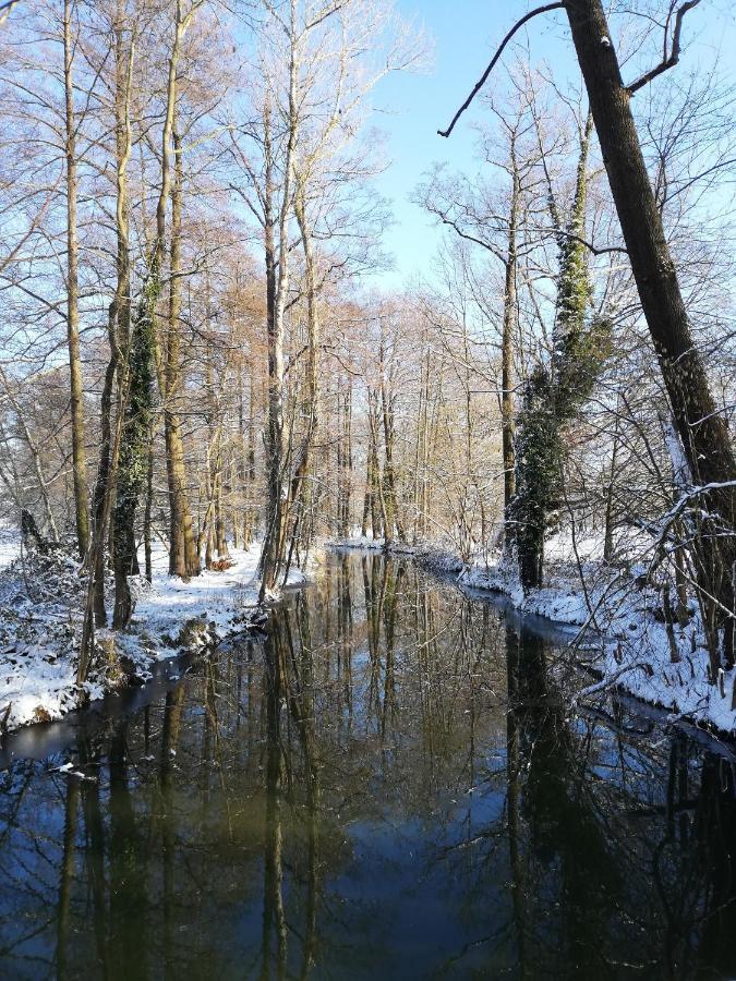 Appartement Gruener Wald à Burg Kauper Extérieur photo